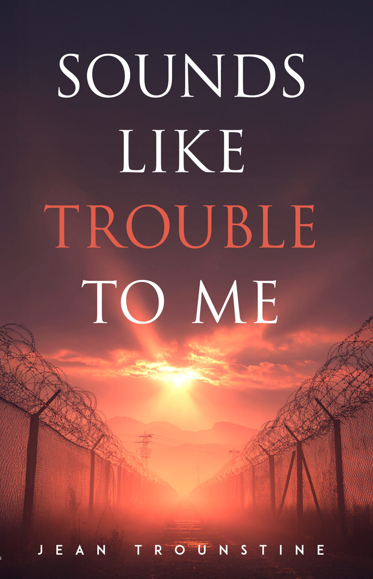 Sounds Like Trouble to Me book cover